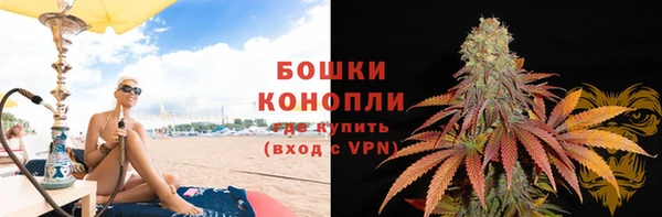 индика Горняк