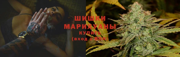 крисы Горнозаводск