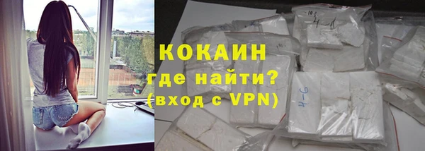 индика Горняк
