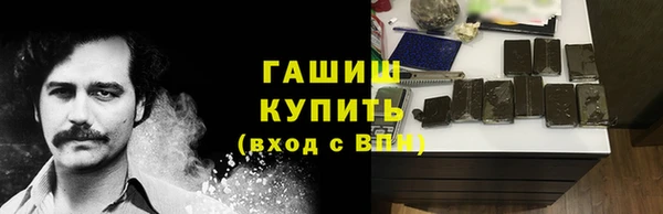 индика Горняк