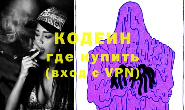 индика Горняк