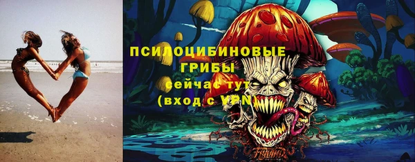 индика Горняк