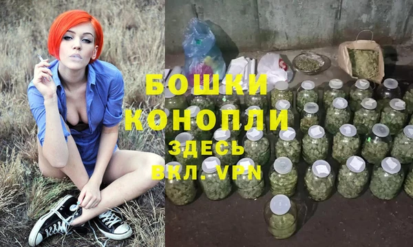 крисы Горнозаводск