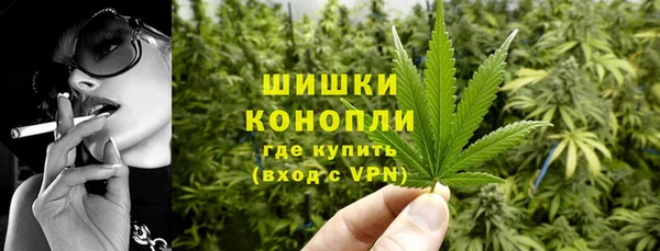индика Горняк