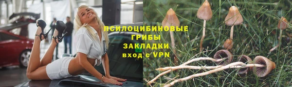индика Горняк