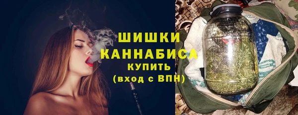 индика Горняк