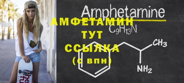 индика Горняк
