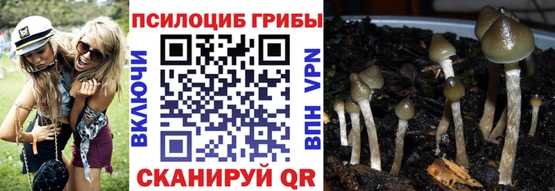 Галлюциногенные грибы Cubensis  Железногорск-Илимский 